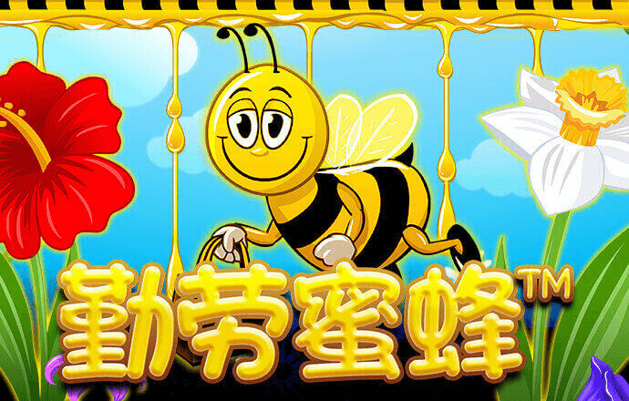 正版小鱼儿免费资料下载安装